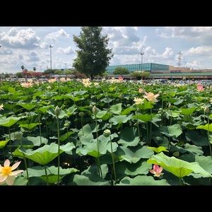 Meet your Posher, The